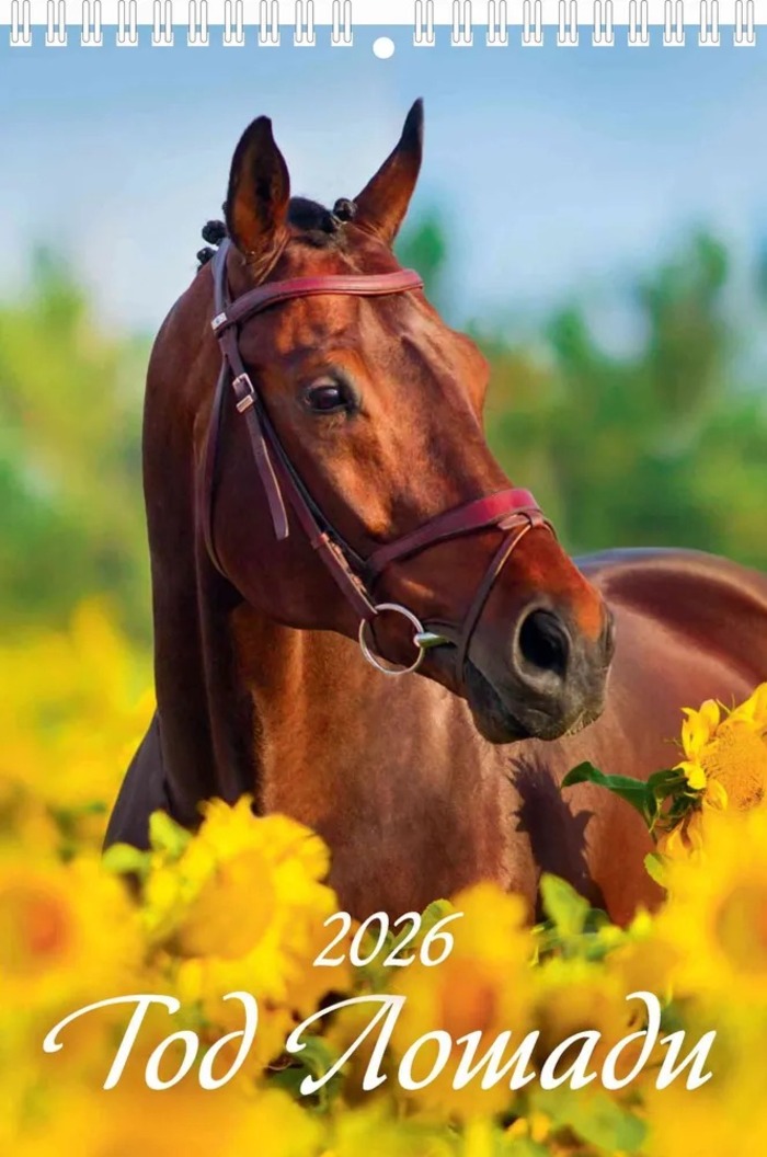 

Календарь 2026 1-блочный 170х250мм Гребень Год лошади. Вид 2 УФ-лак АТБЕРГ 1026013