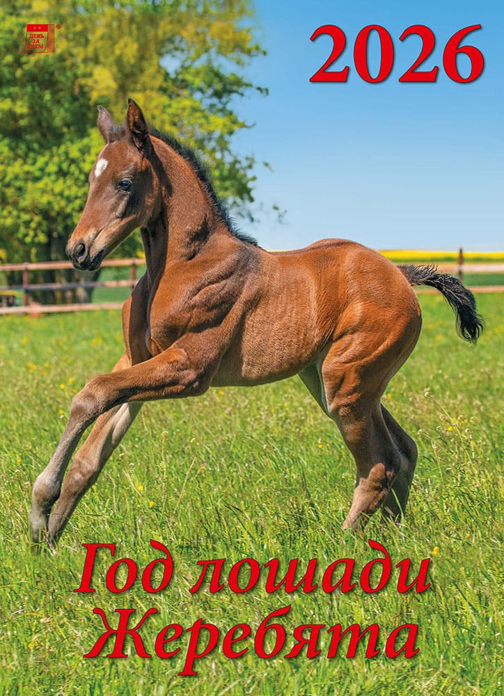 

Календарь 2026 1-блочный 250х340мм Гребень+ригель 12л Год лошади.Жеребята День за Днем 11610