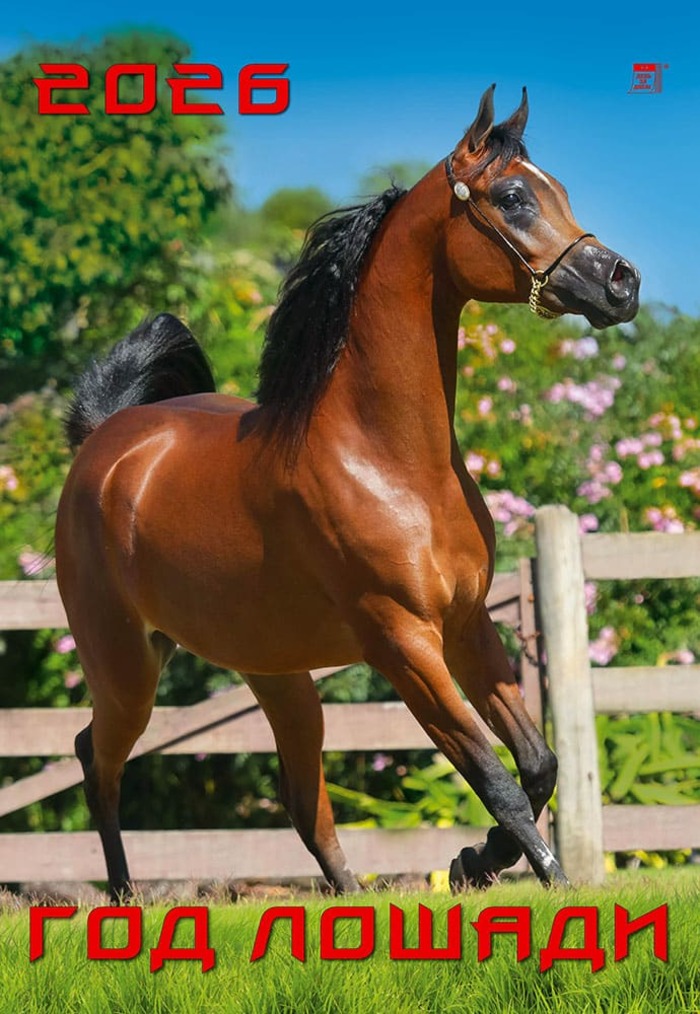 

Календарь 2026 1-блочный 350х500мм Гребень+ригель 12л Год лошади День за Днем 12617