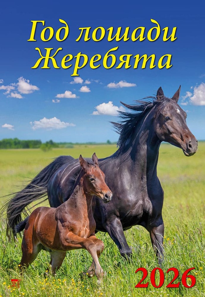 

Календарь 2026 1-блочный 350х500мм Гребень+ригель 12л Год лошади.Жеребята День за Днем 12620