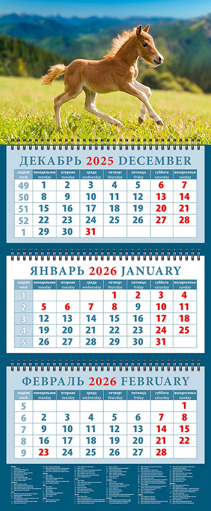 

Календарь 2026 3х-блочный 320х760мм Гребень Год лошади.Очаровательный жеребенок День за Днем 14605