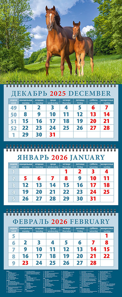 

Календарь 2026 3х-блочный 320х760мм Гребень Год лошади.Прогулка с мамой День за Днем 14610