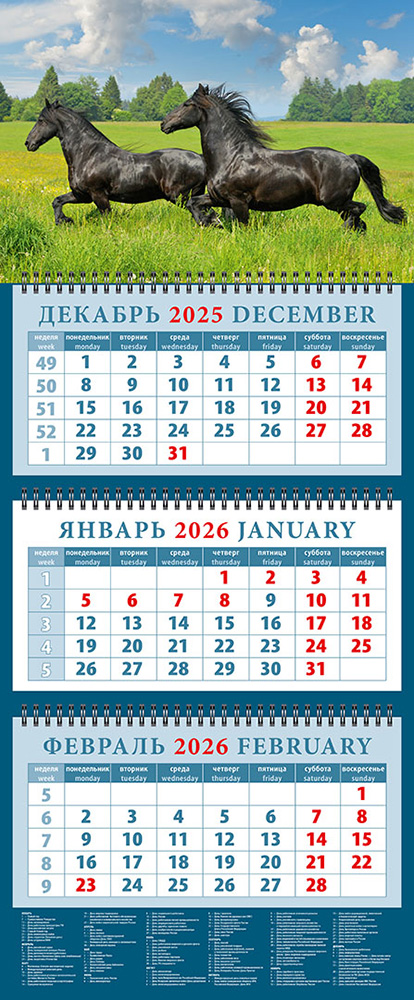 

Календарь 2026 3х-блочный 320х760мм Гребень Год лошади.На просторе День за Днем 14612
