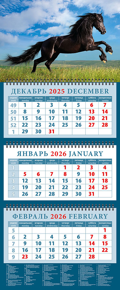 

Календарь 2026 3х-блочный 320х760мм Гребень Год лошади.Красота и сила День за Днем 14619
