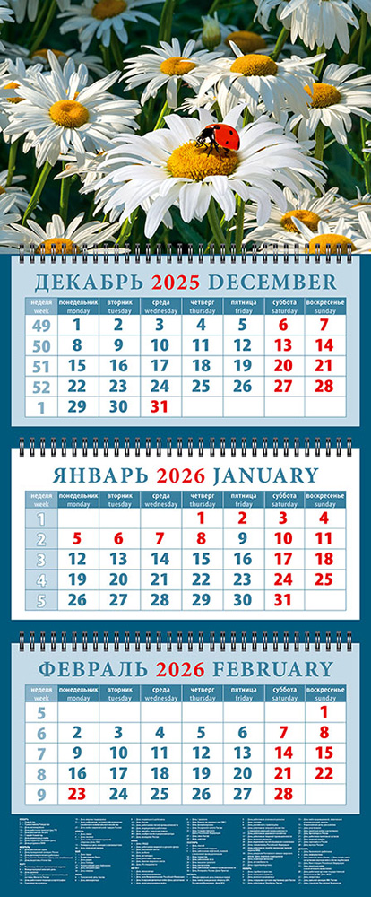 

Календарь 2026 3х-блочный 320х760мм Гребень Божья коровка на ромашке День за Днем 14653