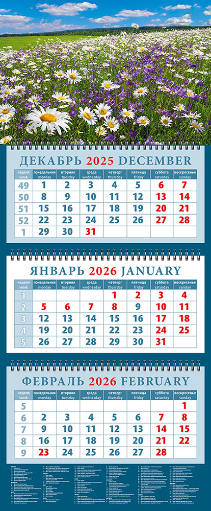 

Календарь 2026 3х-блочный 320х760мм Гребень Чудесный луг с ромашками и колокол. День за Днем 14647