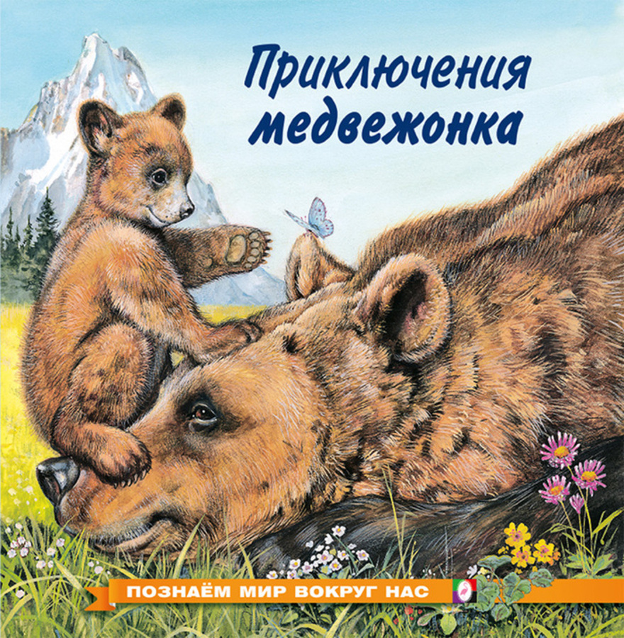 

Приключения медвежонка