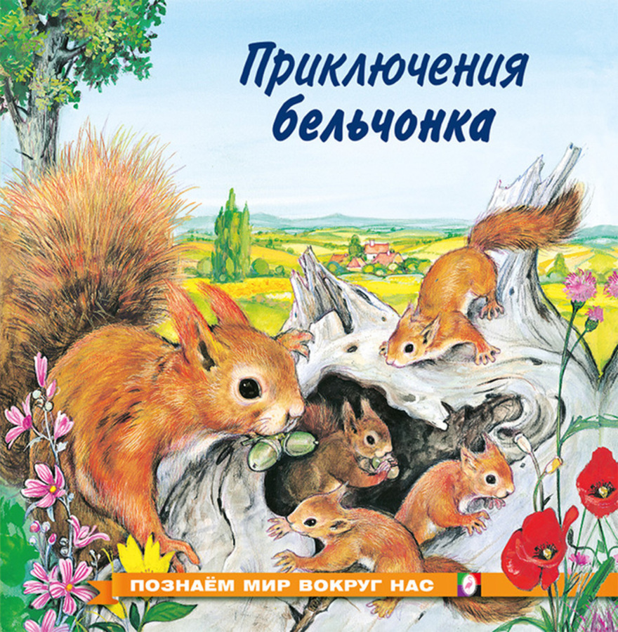 

Приключения бельчонка