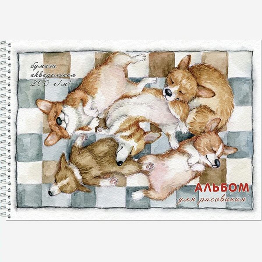 

Альбом для рисования акварелью А4 20л гребень Корги спящие жест.подложка 200г/м2 ПОЛИНОМ 2915/992722 (уни)