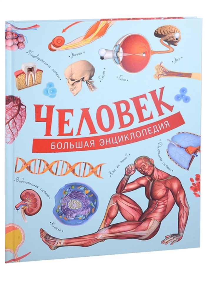 

Человек. Большая энциклопедия