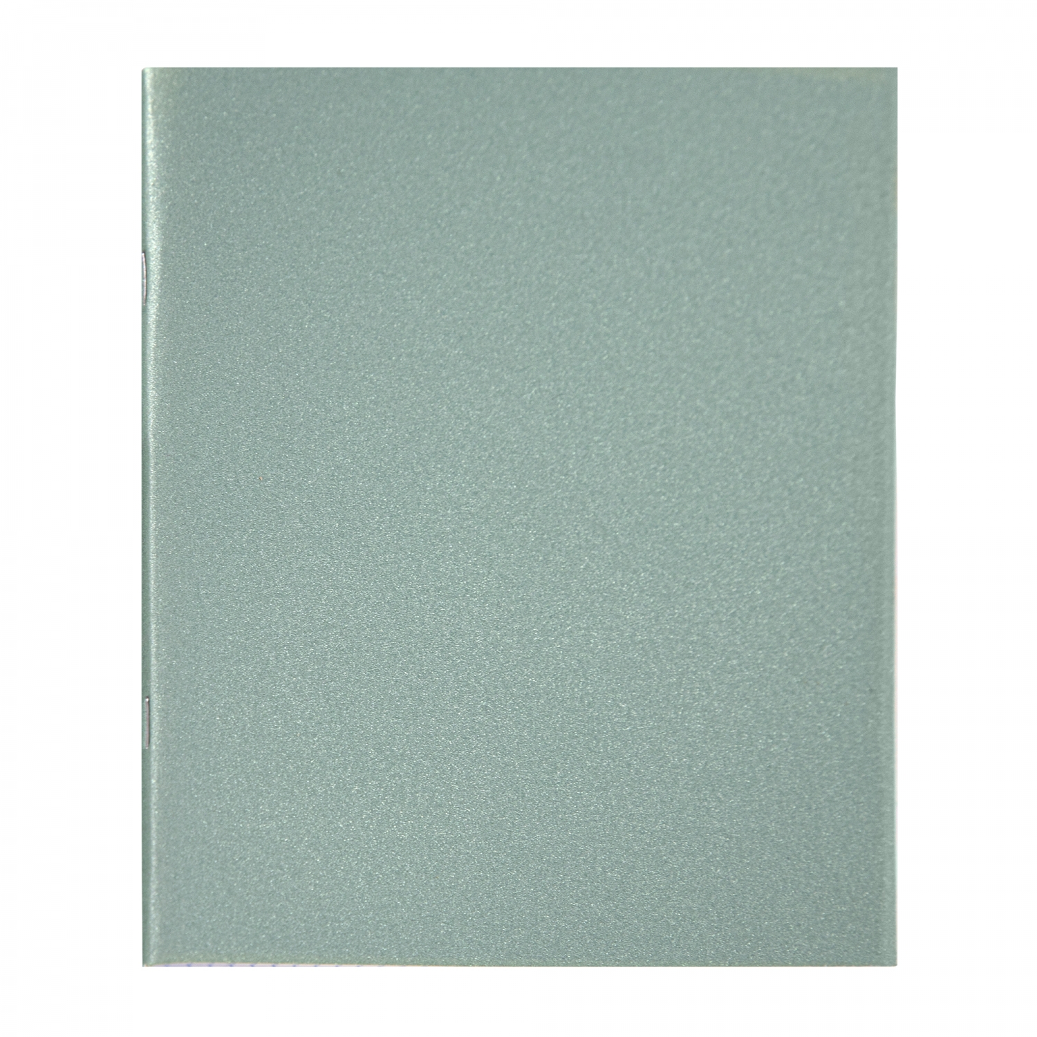 Тетрадь А5 48л клетка скрепка картобл Однотон Мятный глиттер ALINGAR AL12413 61₽