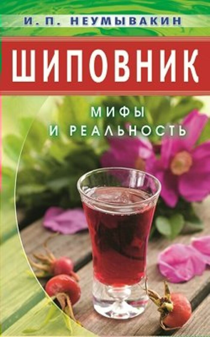 

Шиповник. Мифы и реальность