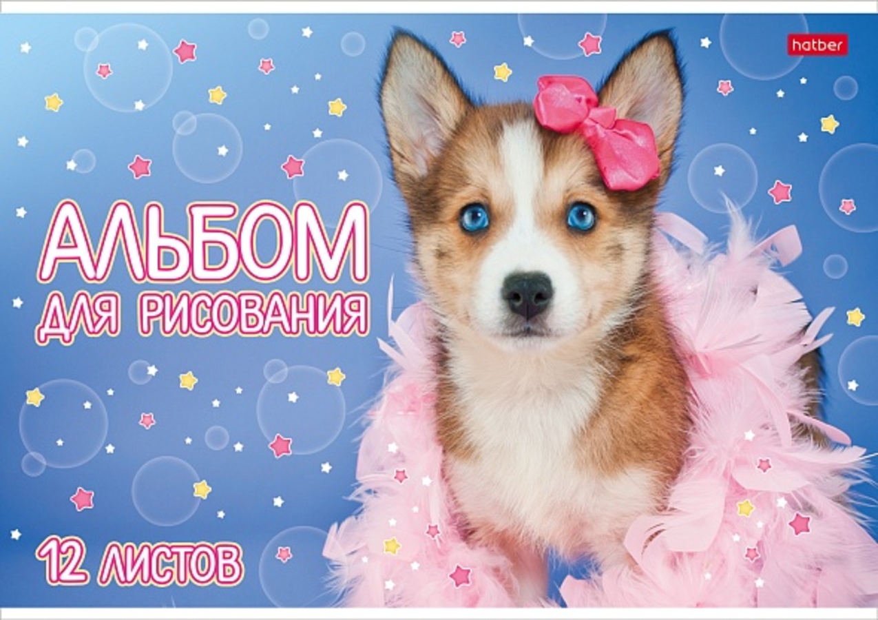 

Альбом для рисования А4 12л скрепка Любимые хвостики обл.мелов.картон 100г/м2 HATBER 12А4В (жен)