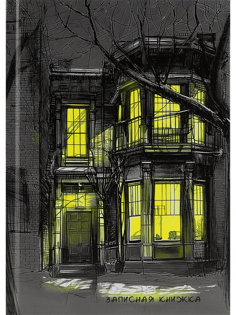 

Книжка записная А5 80л клетка тв.обл. Свет из окон глянц.лам. PROF-PRESS 80-5591