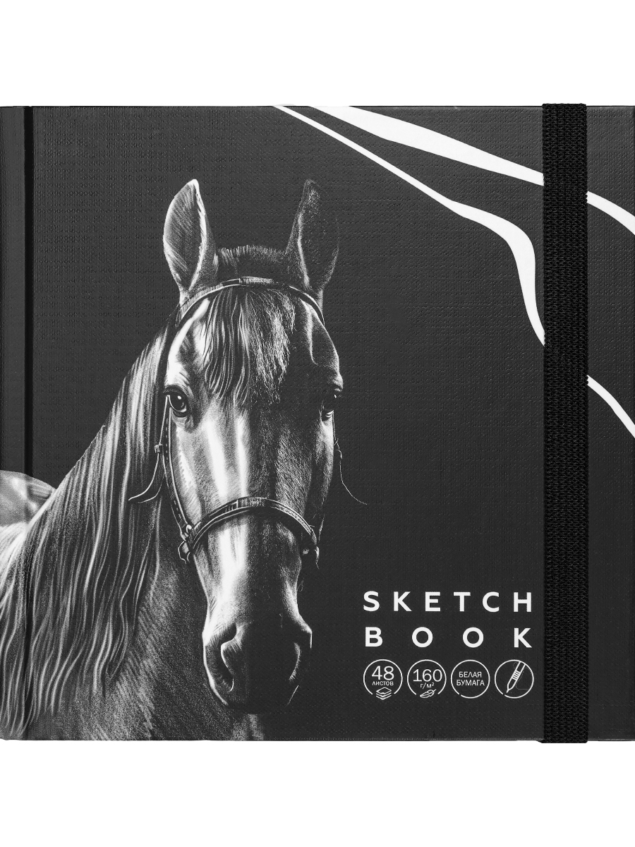 Скетчбук 165х165мм 48л твобл Blacksoft ляссе на резинке 160гм2 PROF-PRESS 48-8665 168₽