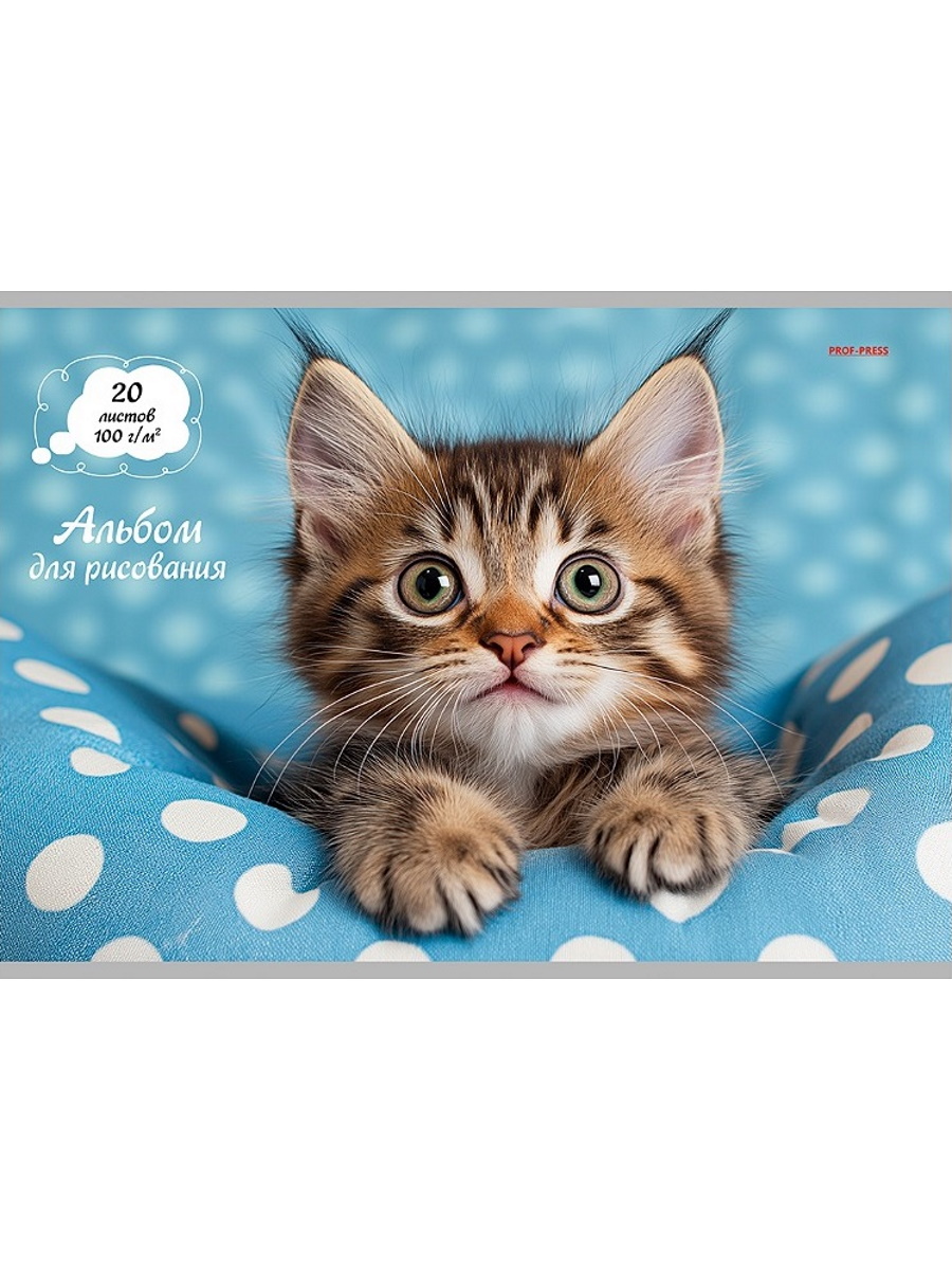 

Альбом для рисования А4 20л скрепка Милый котик-2 100г/м2 PROF-PRESS 20-7548 (уни)