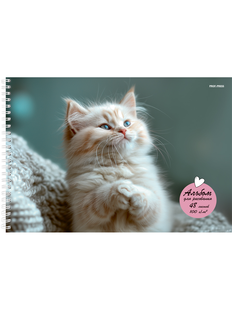 Альбом для рисования А4 48л гребень облмеловбум Маленький забавный кот 100гм2 PROF-PRESS 48-3946 жен 109₽
