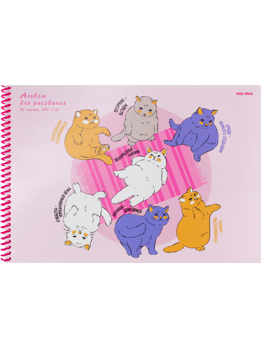 Альбом для рисования А4 32л спираль Распорядок дня 100гм2 PROF-PRESS 32-5675 жен 73₽