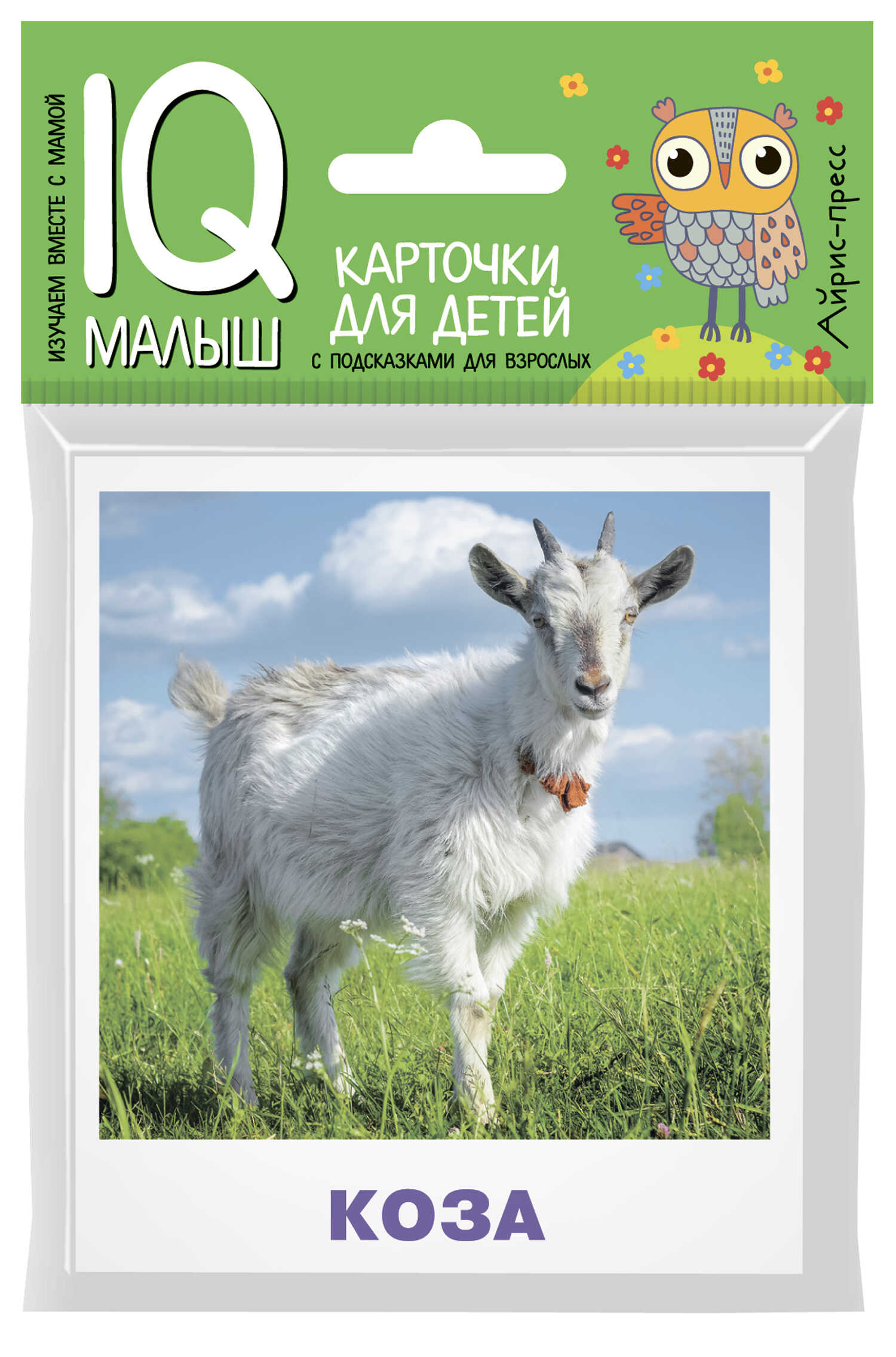 

Карточки для детей с подсказками для взрослых. Домашние животные