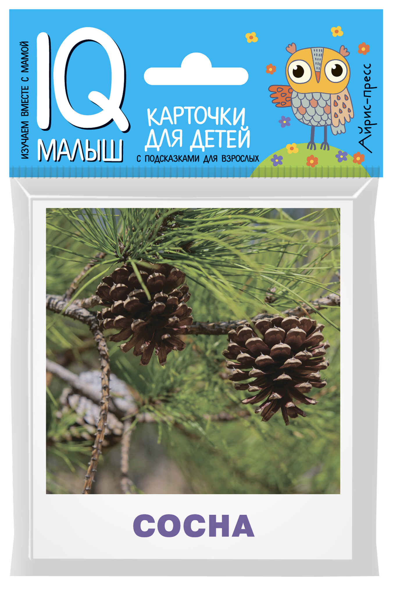 

Умный малыш. Деревья. Набор карточек для детей