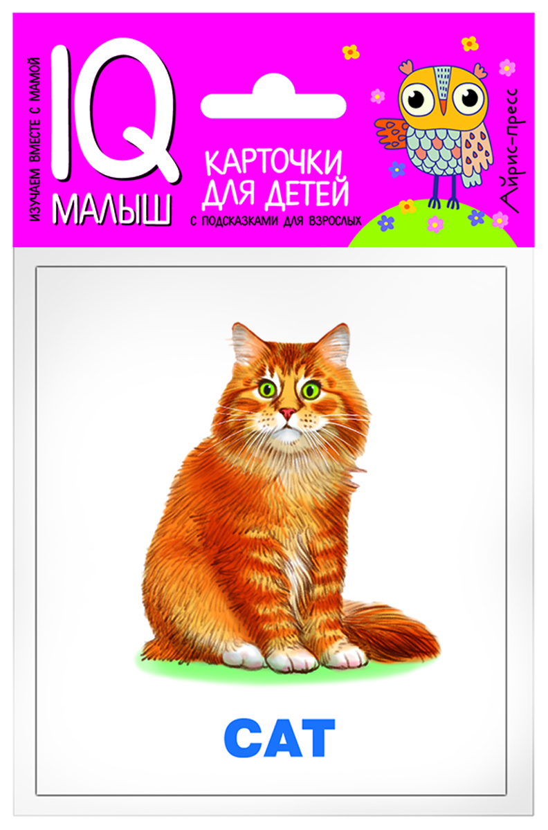 

English. Домашние питомцы. Набор карточек для детей