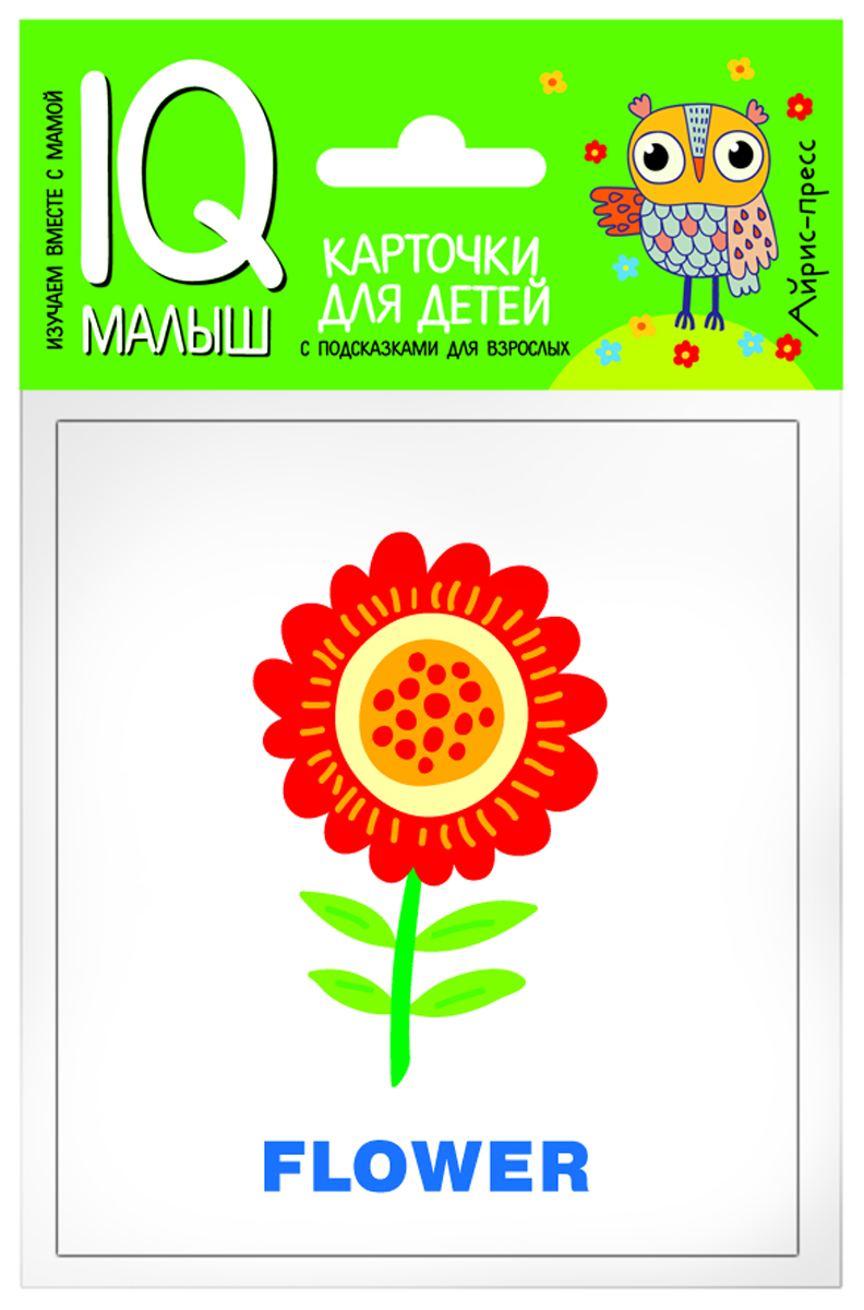 

English. Растения. Карточки для детей с подсказками для взрослых