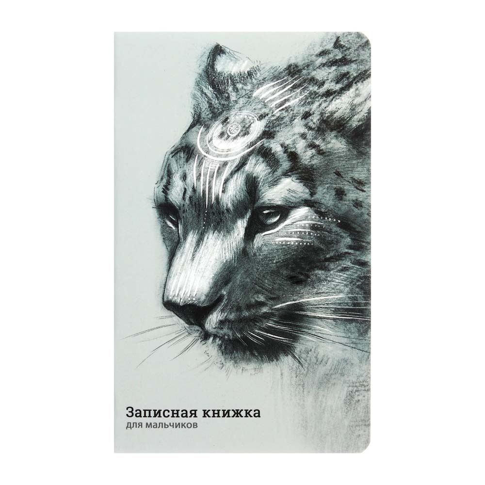Книжка записная А5 56л линия скрепка мягкобл для мальчиков Ирбис soft touch Alpha-Trend 410049 85₽