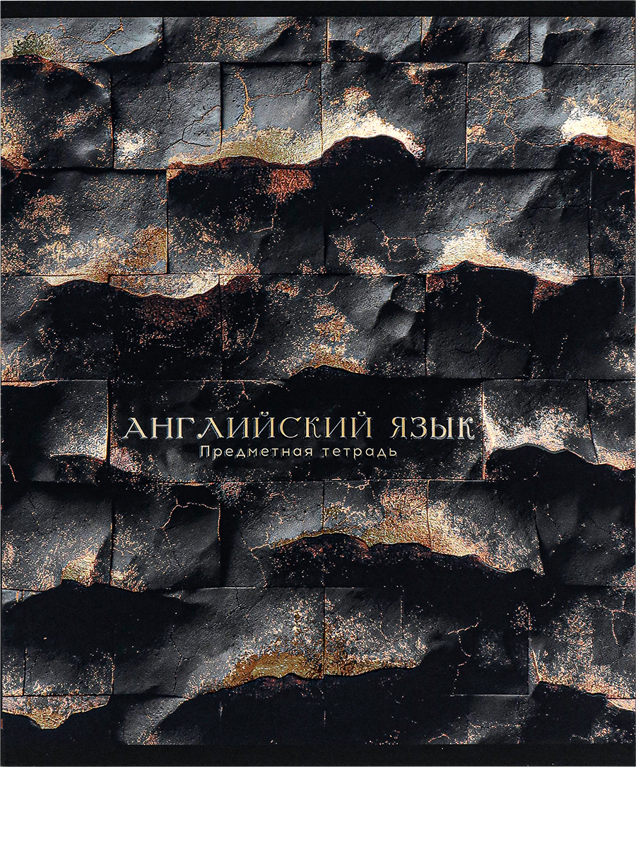 Тетрадь предметная 48л клетка меловкартон Black Gold Английский язык soft-touch PROF-PRESS 48-2680 112₽