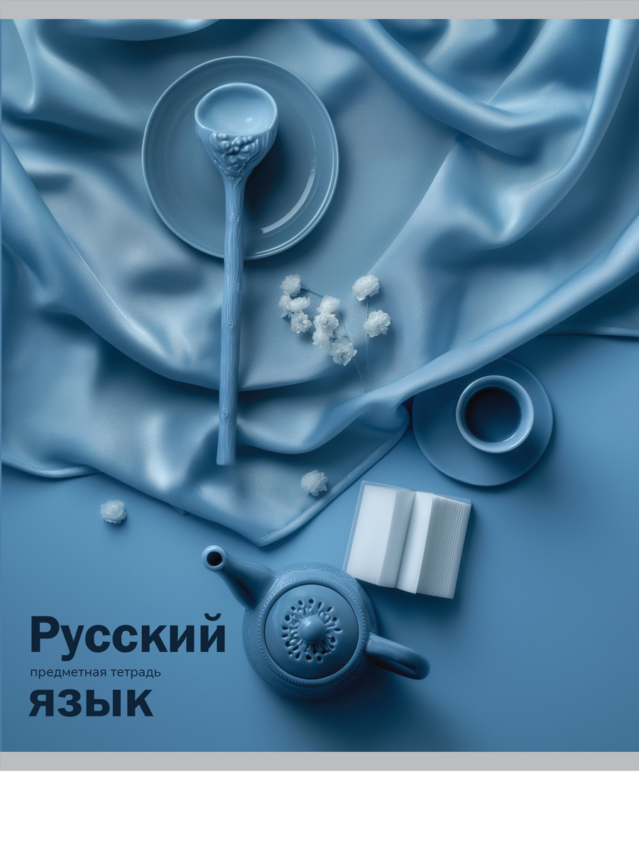 

Тетрадь предметная 48л линия мелов.картон На уроке Русский язык soft touch PROF-PRESS 48-2379