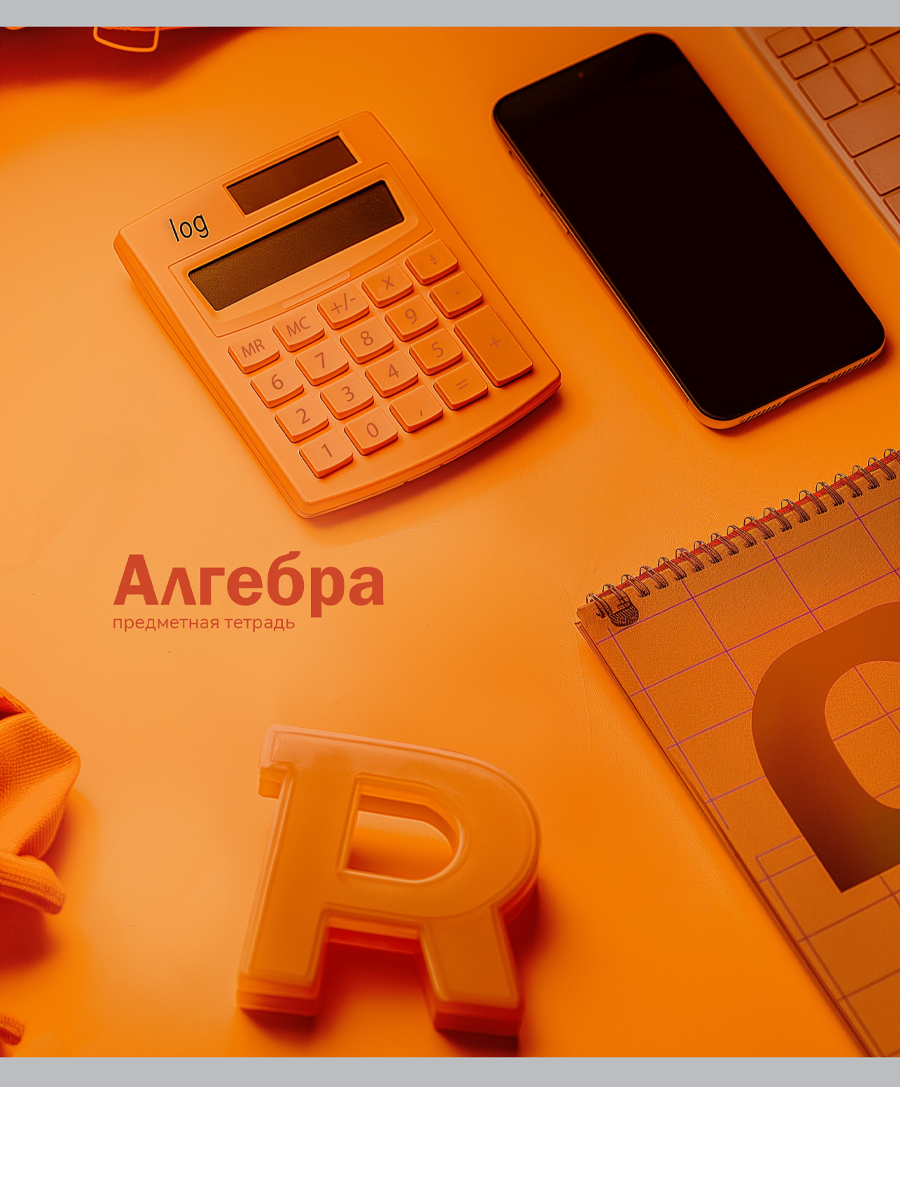 

Тетрадь предметная 48л клетка мелов.картон На уроке Алгебра soft-touch PROF-PRESS 48-2364