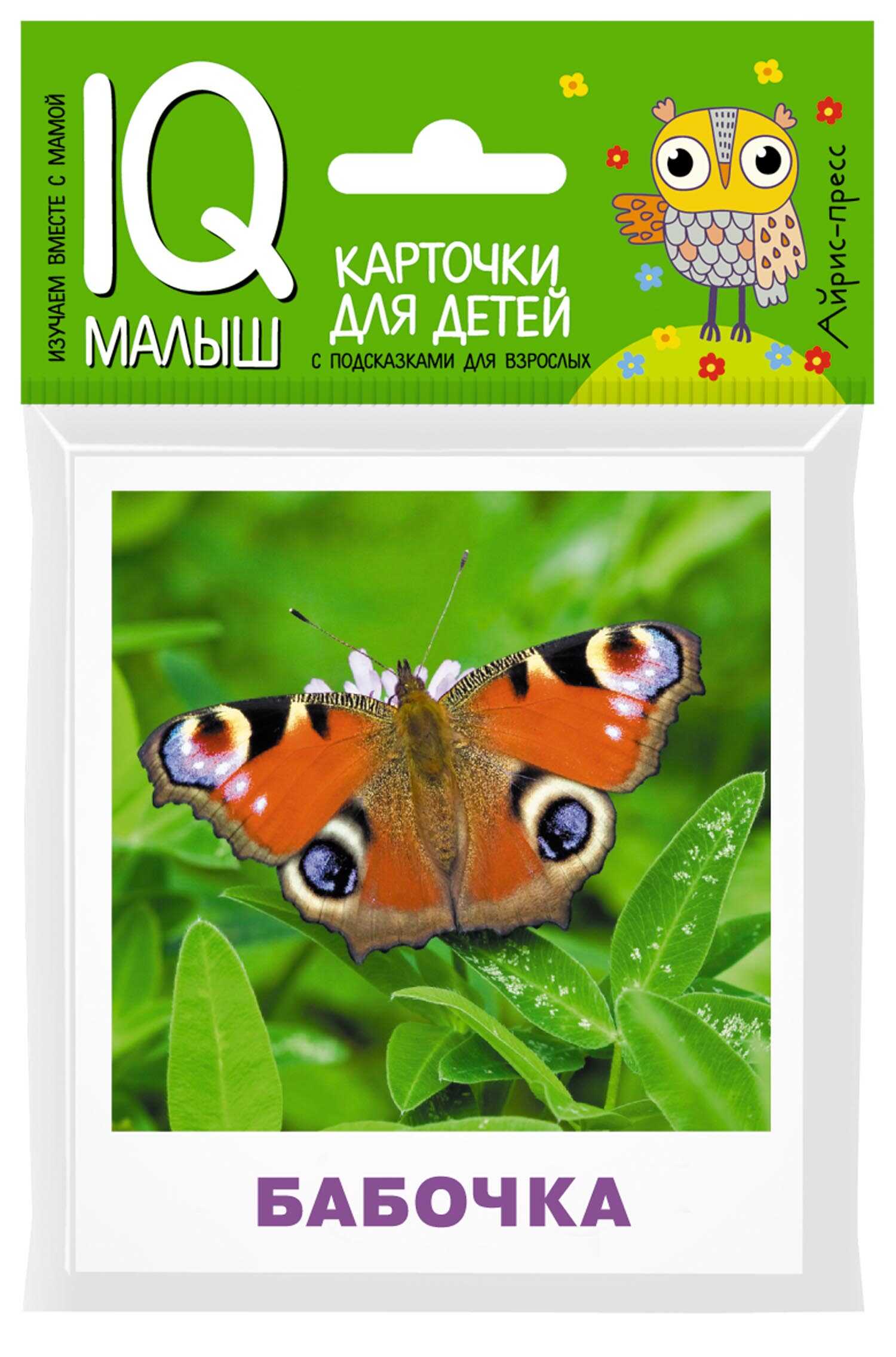 

Карточки для детей. Насекомые