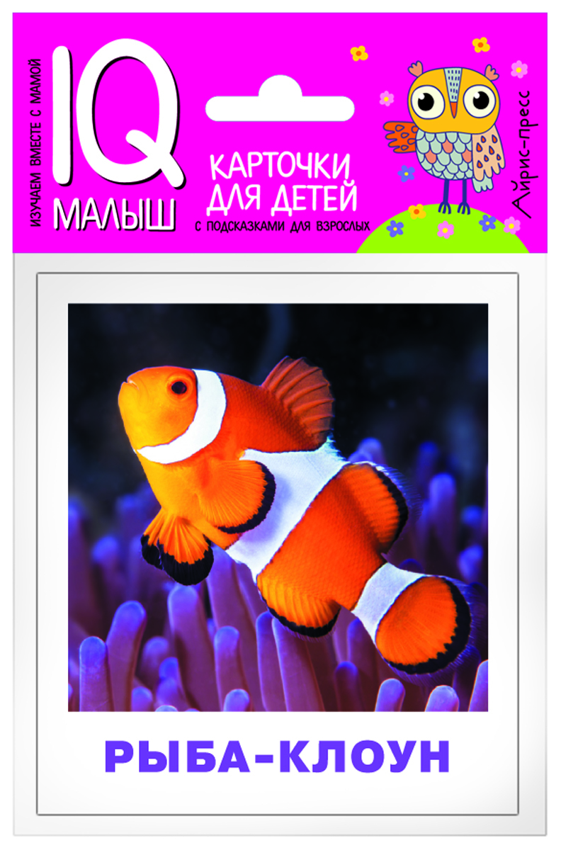 

Обитатели морей и океанов. Набор карточек для детей