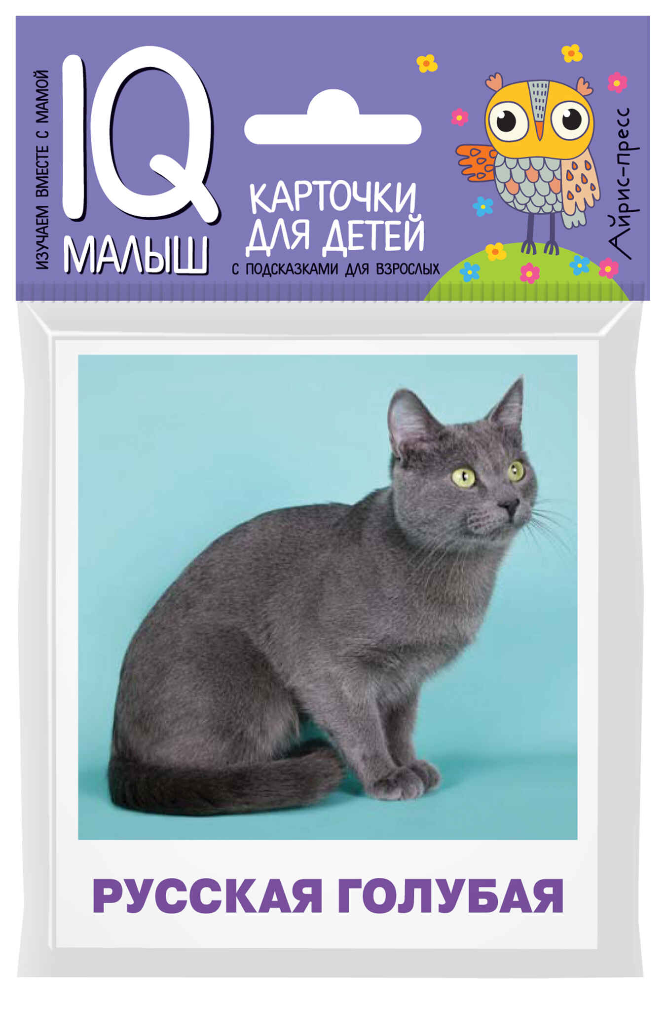 

Породы кошек: Набор карточек для детей