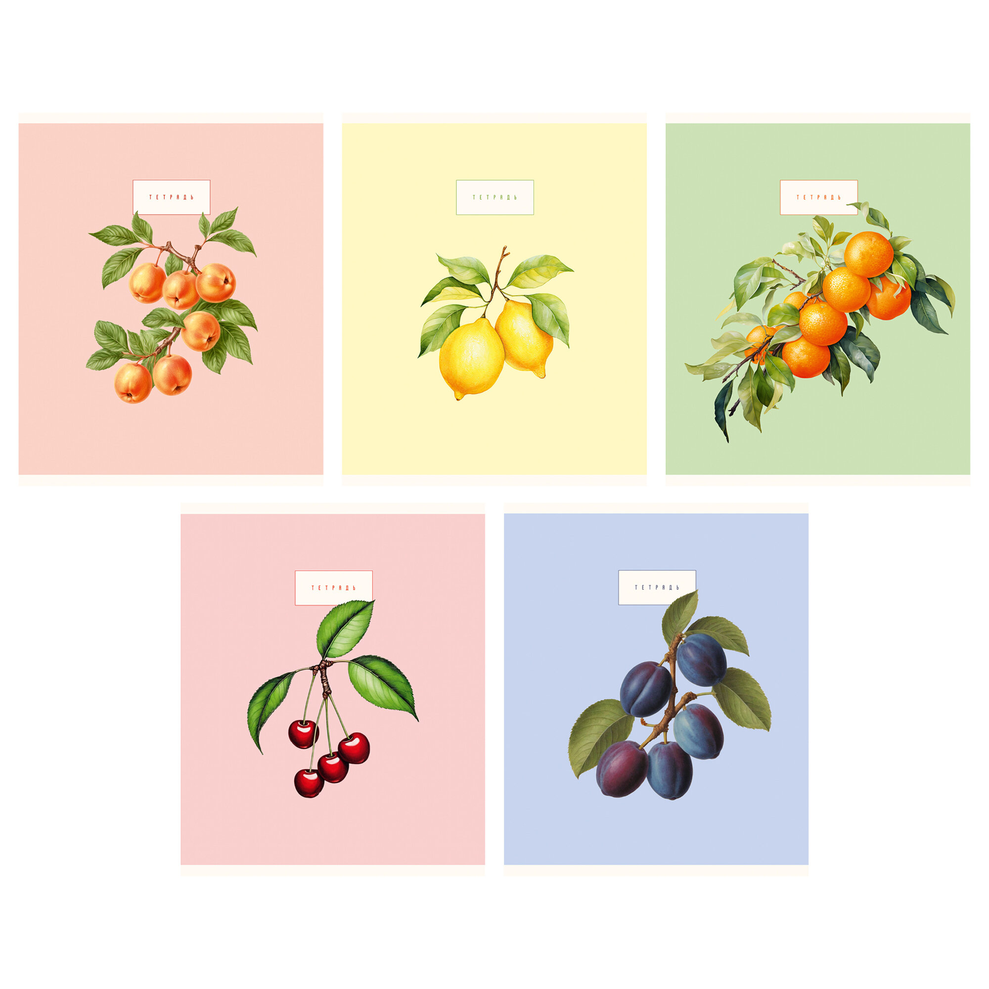 

Тетрадь А5 48л клетка скрепка мелов.картон Сочные фрукты и ягоды ассорти 5 диз. Listoff ТК489110