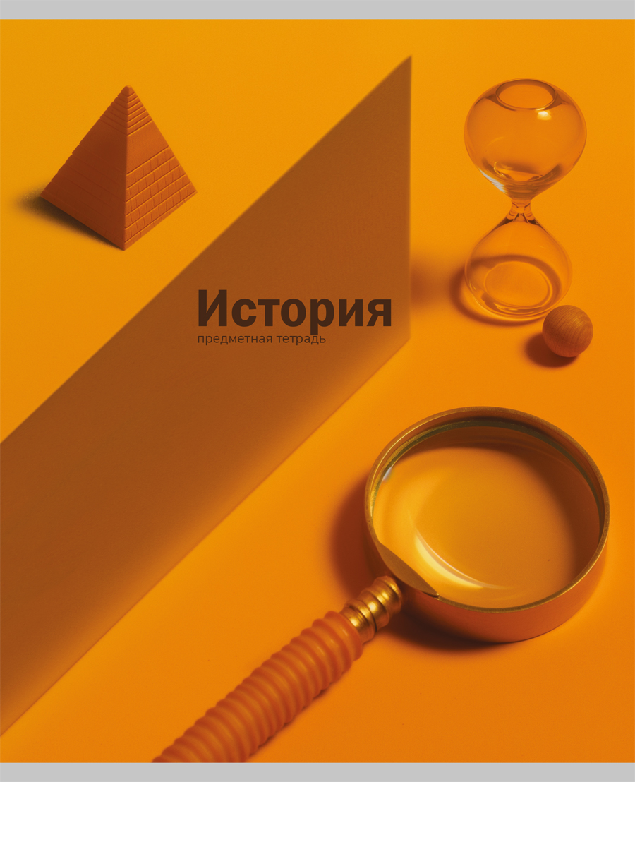 

Тетрадь предметная 48л клетка мелов.картон На уроке История soft-touch PROF-PRESS 48-2371