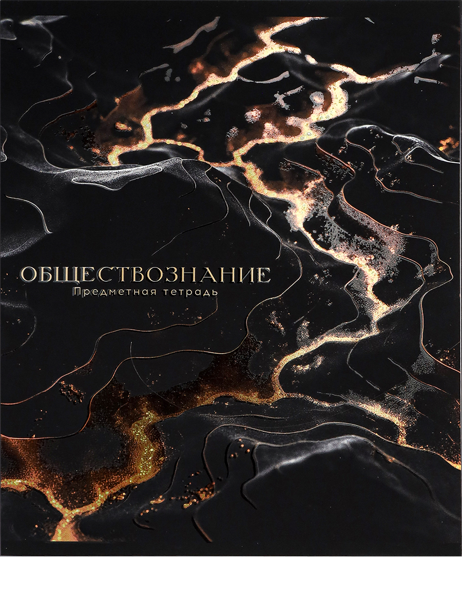 

Тетрадь предметная 48л клетка мелов.картон Black&Gold Обществознание soft-touch PROF-PRESS 48-2713
