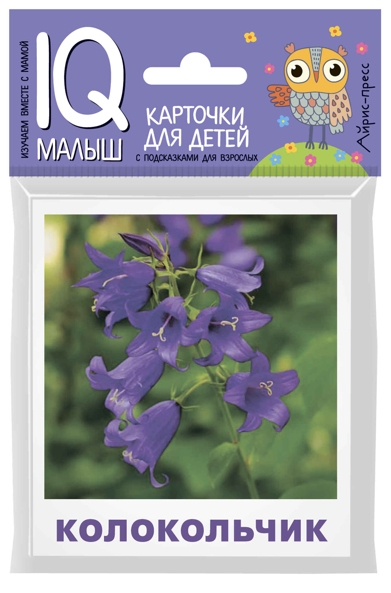 

Что растет на клумбе
