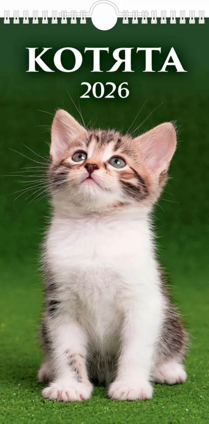 

Календарь 2026 1-блочный 165х320мм Гребень+ригель Котята УФ-лак АТБЕРГ 0626003