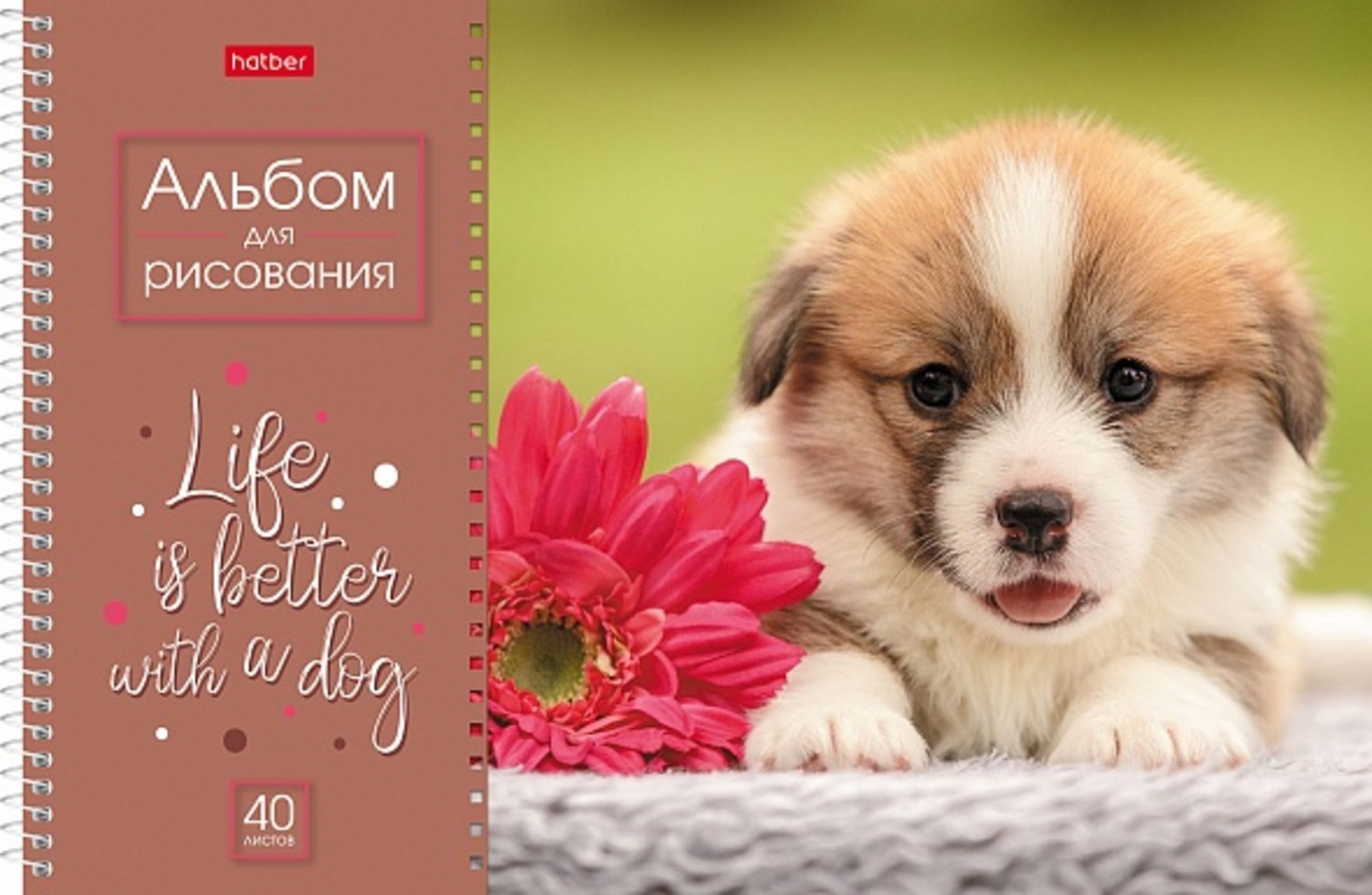 

Альбом для рисования А4 40л спираль Doggie. Щенки 100г/м2 HATBER 40А4Всп (уни)