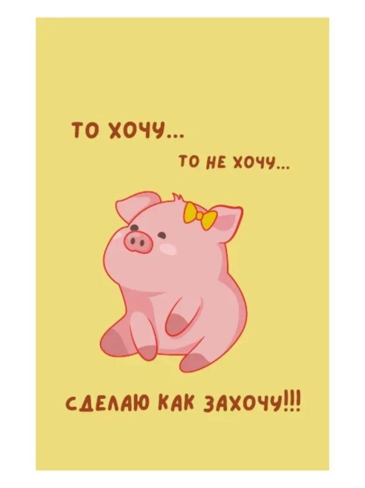 Футляр для проездного пропуска и карт 65х105мм ПВХ Сделаю как захочу ILIKEGIFT 16890 113₽