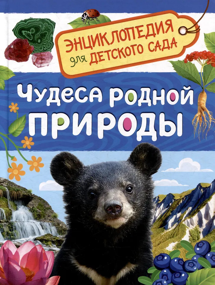 

Чудеса родной природы