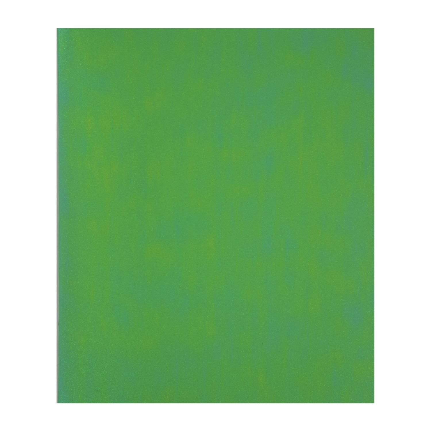 Тетрадь А5 48л клетка скрепка меловкартон Однотон Green chameleon ALINGAR AL12399 64₽