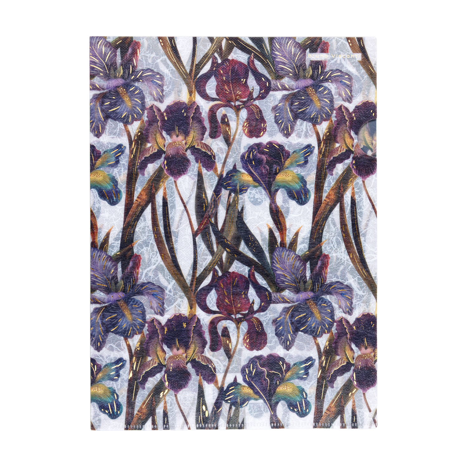 Папка-уголок пластик А4 1отд пл180мкм Flora Ирисы BRUNO VISCONTI 14-03812 124₽