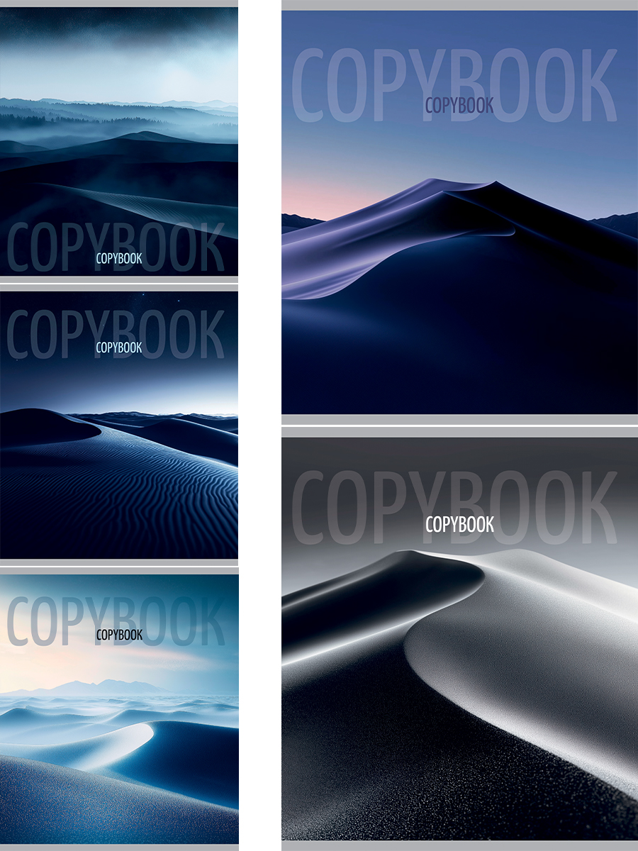 

Тетрадь А5 48л клетка скрепка мелов.картон Дюна-2 мат.лам. выб.лак ассорти PROF-PRESS 48-8846