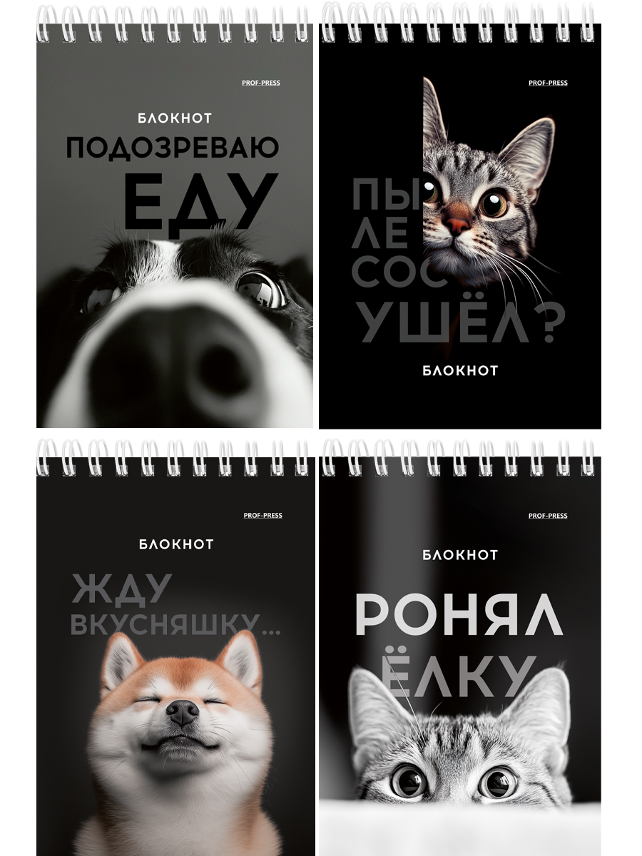 Блокнот А6 40л клетка спираль мягкобл Смешные питомцы ассорти PROF-PRESS Б40-7018 38₽