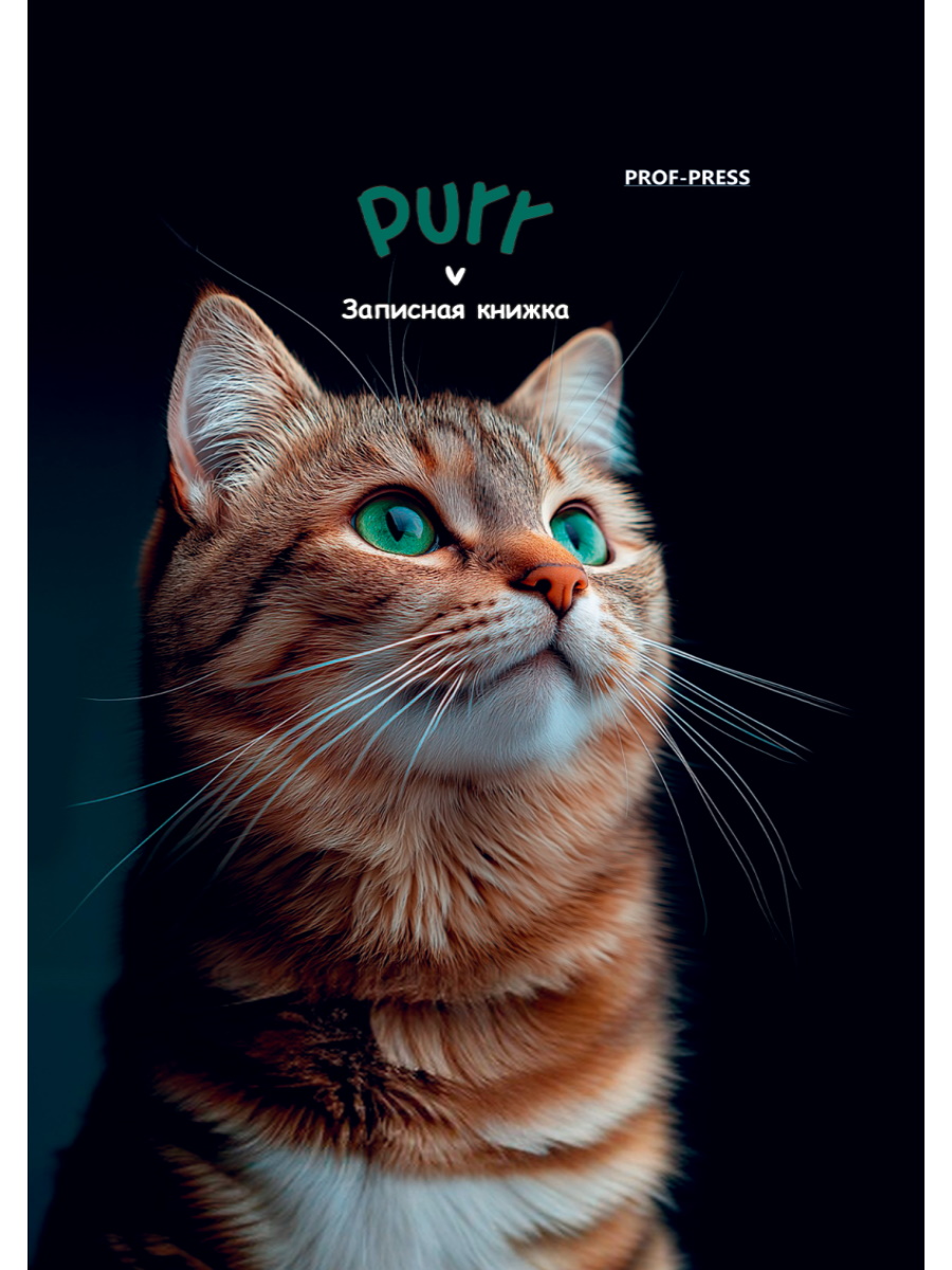 Книжка записная А7 48л клетка твобл Зеленоглазый котик глянцлам PROF-PRESS 48-8633 72₽