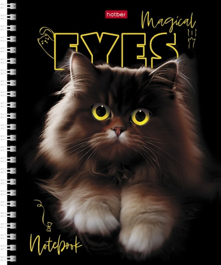 

Тетрадь А5 48л клетка гребень мелов.картон Волшебные глаза мат.лам.3D лак ассорти HATBER 48Т5лолВ1гр