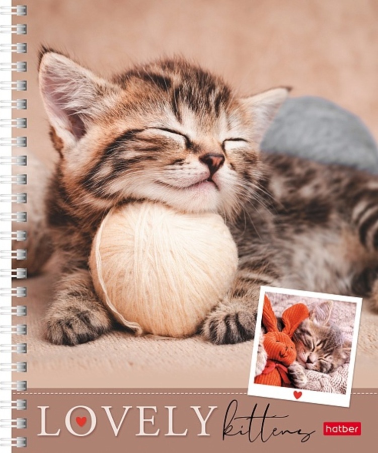 

Тетрадь А5 48л линия гребень мелов.картон Мяу-Котики ассорти HATBER 48Т5В2гр