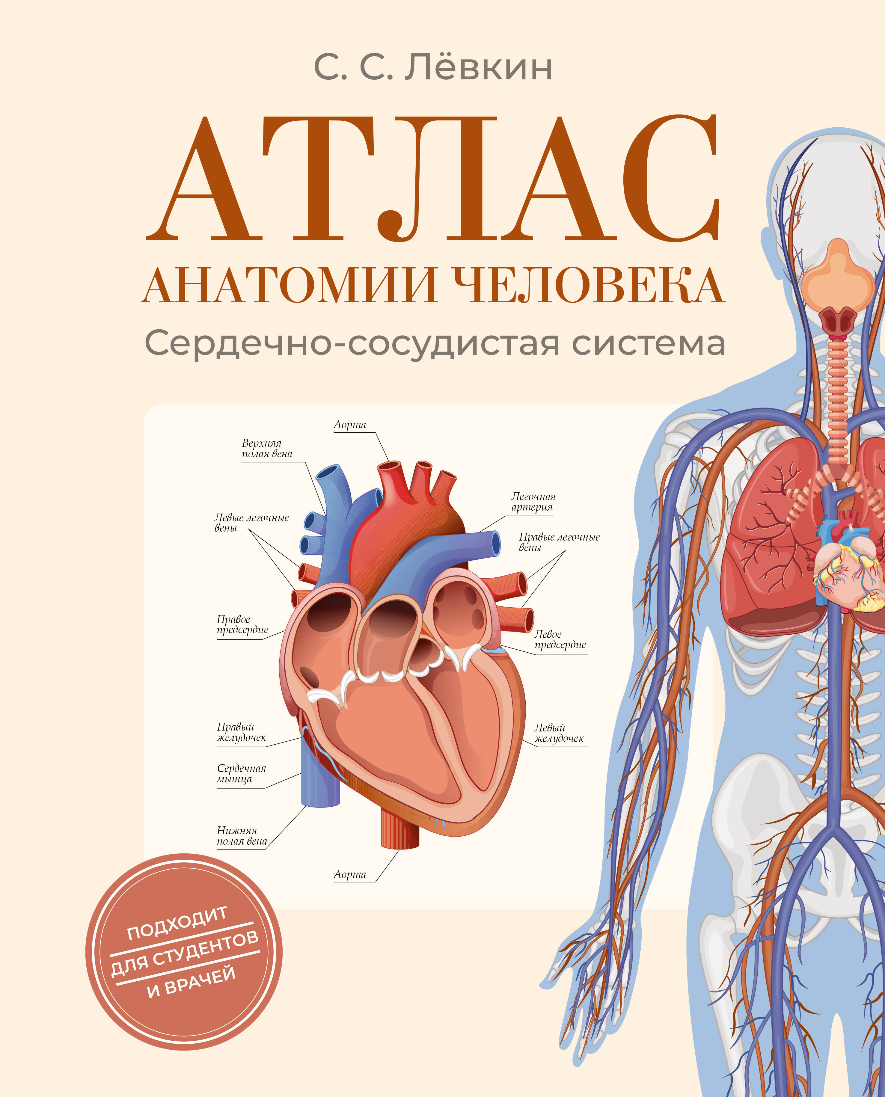 

Атлас анатомии человека. Сердечно-сосудистая система