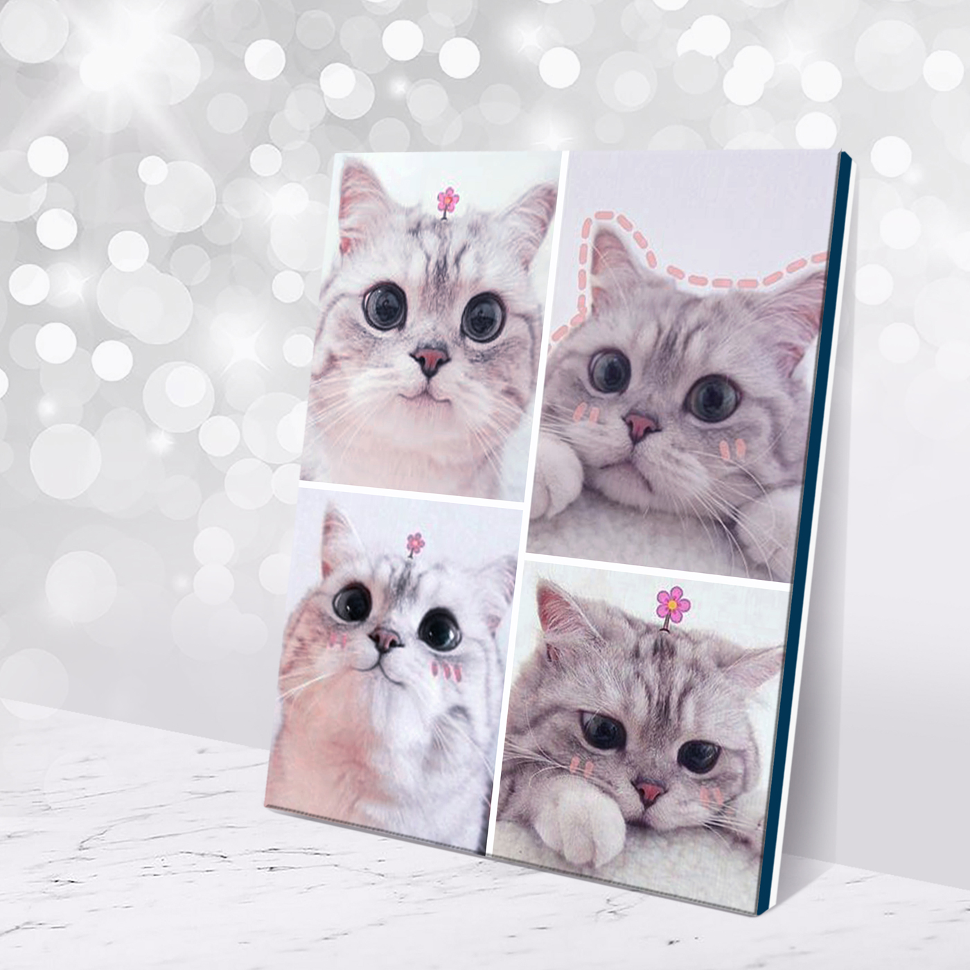 Картина по номерам 40х50см Мемчики Милая кошечка 816₽